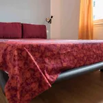 Rosy\'S House Un Attico A Due Passi Dall\'Acquario Parking Free