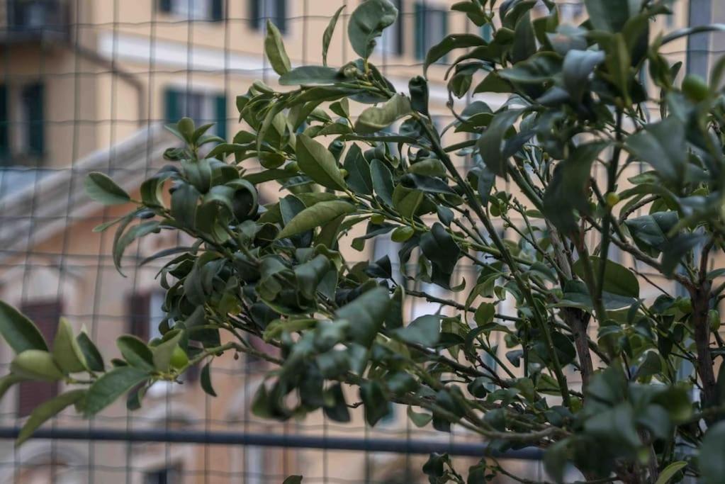 Appartement Rosy's House Un Attico A Due Passi Dall'acquario Parking Free Genua